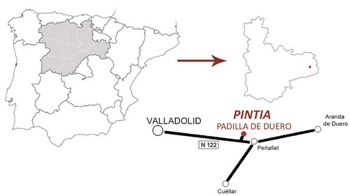 Schematic plan of the situation of Pintia Archaeological Site