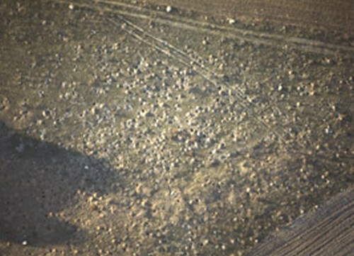 La necrópolis de Las Ruedas plagada de hoyos clandestinos en febrero de 1990 (fotografía de Julio del Olmo)