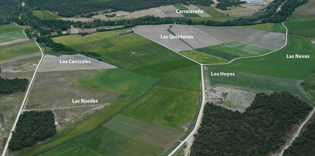 Aerial photography of Pintia Archaeological Site